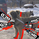 Illustration for article titled Persona 5 Menus Make Everything Better